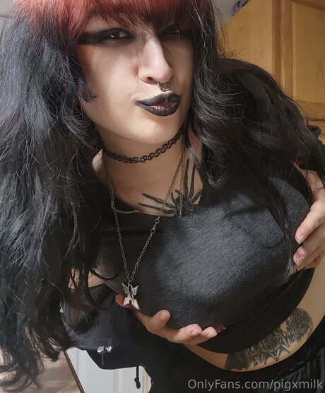 Pigxmilk modelo archivo