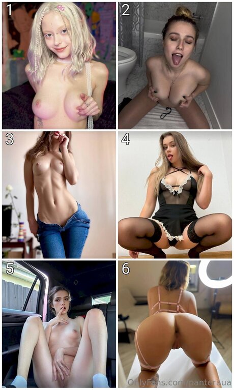 Weetfairy hermosa estrella galerías