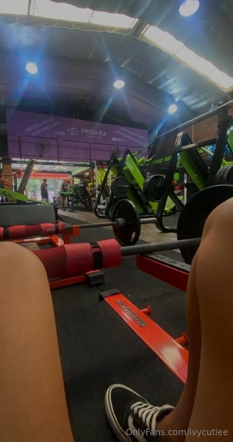 Ivycutiee estrella adulta imagen