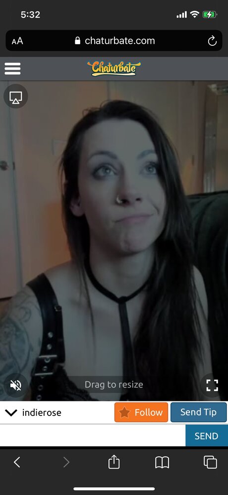 Indieroselive modelo porno galerías
