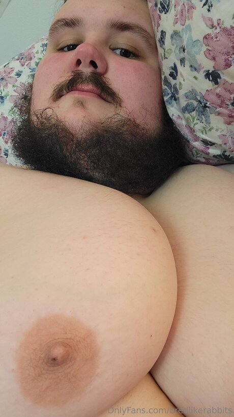 Bredlikerabbits estrella adulta foto