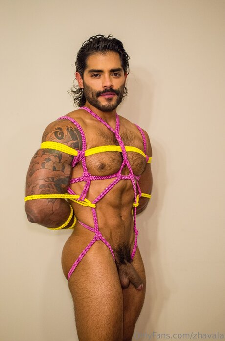 Zhavala estrella porno del sexo galerías