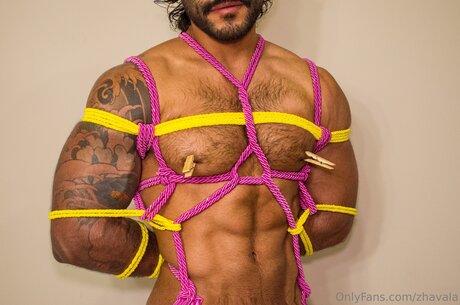 Zhavala modelo de alta calidad fotos