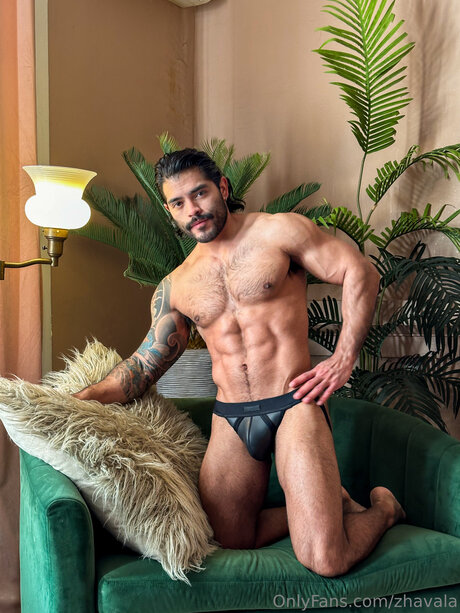 Zhavala estrella hd recopilación