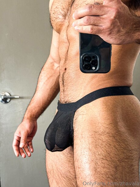 Zhavala modelo exclusivo imagen