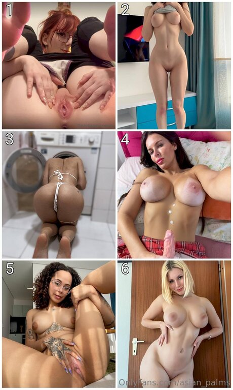 Asian Palms modelo caliente galerías