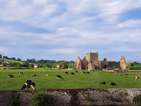 Astraaurora1111 hermosa estrella foto