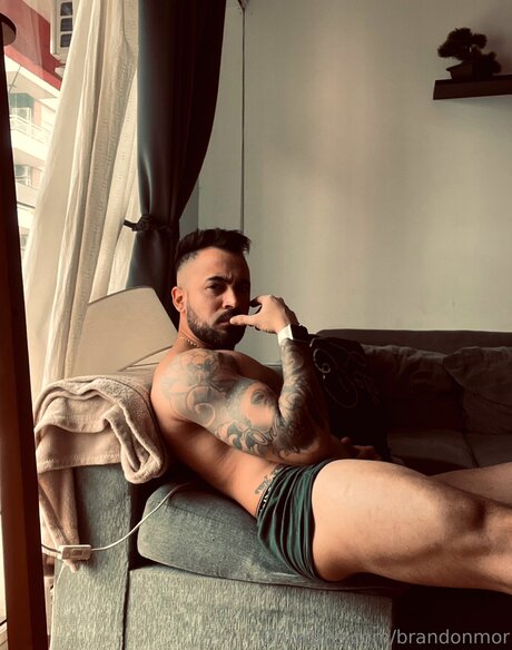 Brandonmor estrella del arte foto