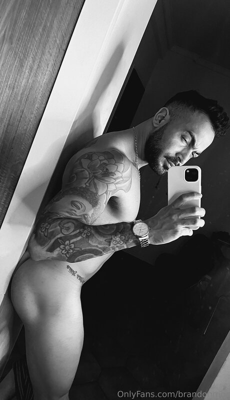 Brandonmor xxx estrella porno fotos