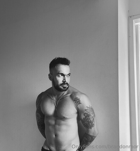 Brandonmor modelo exclusivo foto