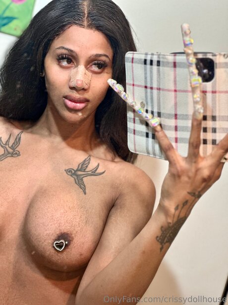 Crissydollhouse linda estrella foto