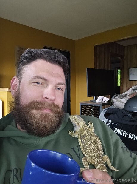 Bedellx estrella porno adulto fotos