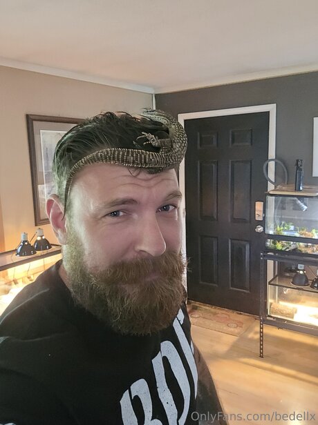 Bedellx estrella atractiva galerías