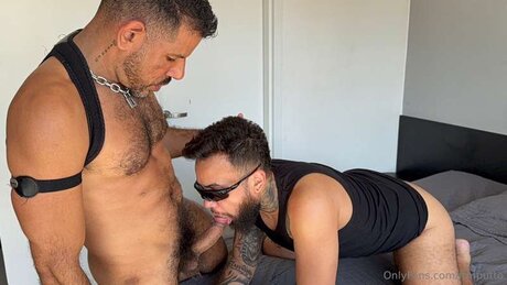 Ftmputto desnudos de estrellas recopilación