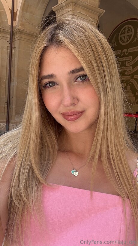 Liaju Dm estrella perfecta galerías