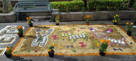 Alexrasec actriz perfecta fotos