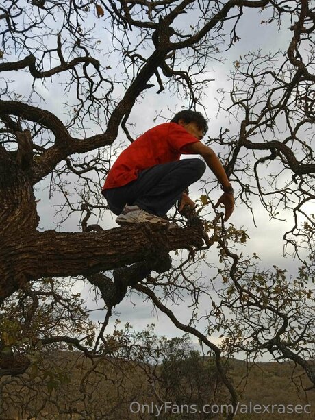 Alexrasec estrella porno de arte galería