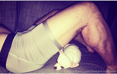 Thegreatalex arte estrella porno imagen