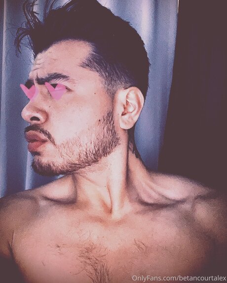 Thegreatalex estrella atractiva fotos