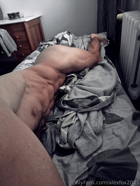 Alexfox2021 modelo hermosa imagen