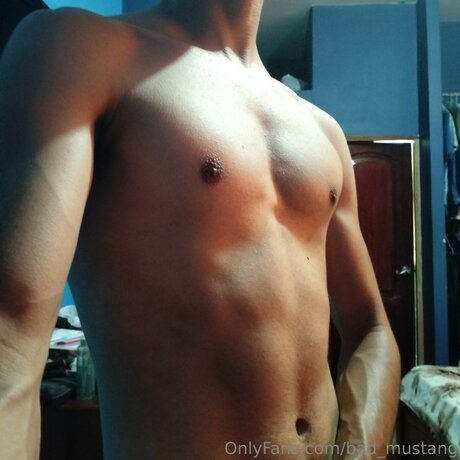 Bad Mustang mejor estrella recopilación