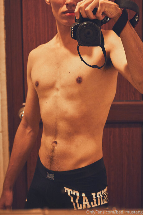 Bad Mustang estrella xxx recopilación