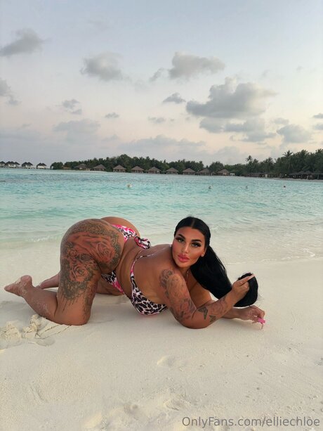 Elliechloe buen modelo recopilación