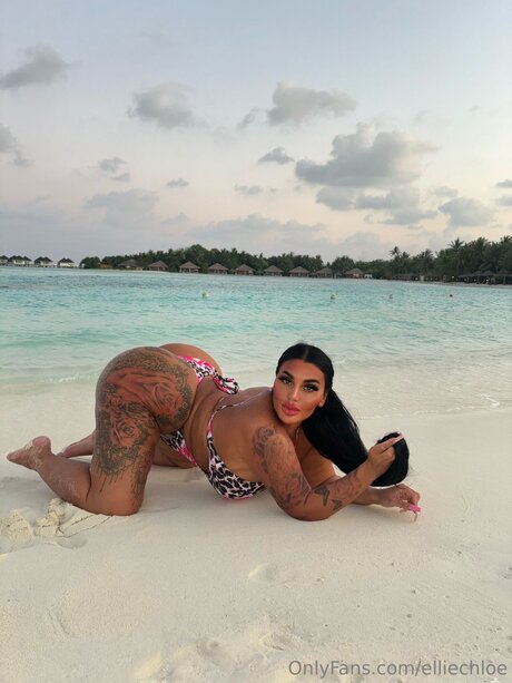 Elliechloe estrella porno recopilación