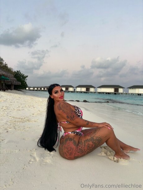Elliechloe Profilfoto