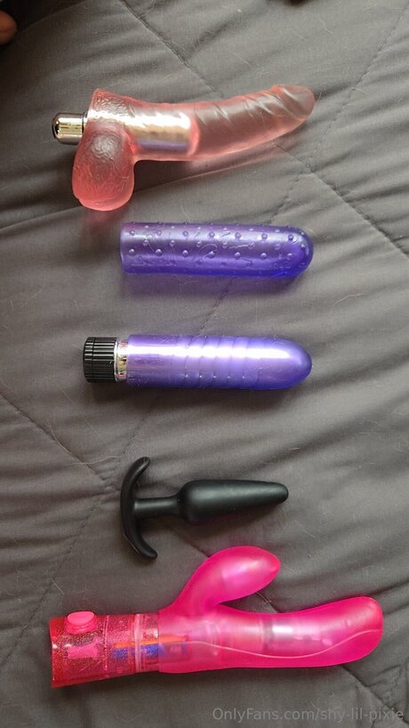 Shy Lil Pixie mejor actriz archivo