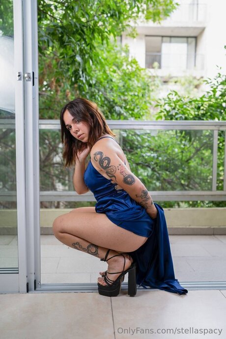 Stellaspacy estrella caliente galerías