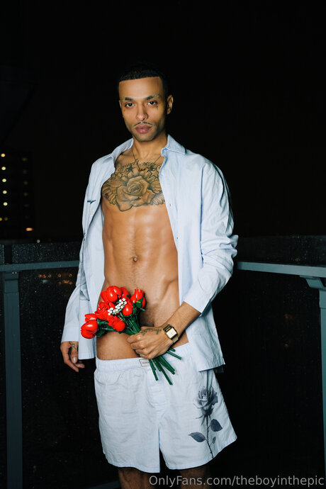 Theboyinthepic modelo de arte imágenes