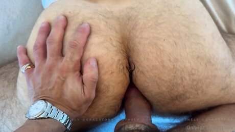 Thelv desnudos de estrellas porno imágenes