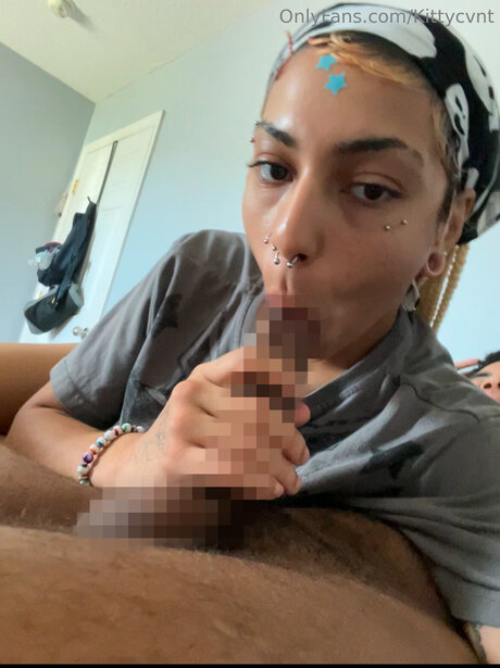 Kittycvnt estrella libre recopilación