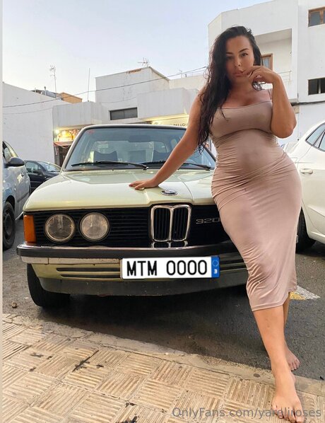 Yareliroses arte estelar foto