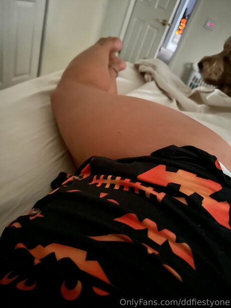 Ddfiestyone modelo exclusivo galería