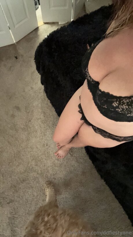 Ddfiestyone modelo libre galería