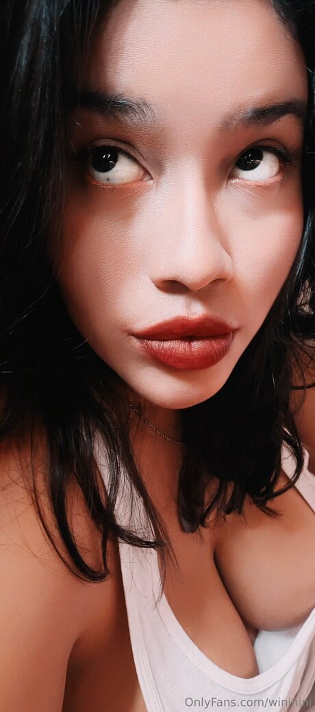 Wininini modelo libre galerías