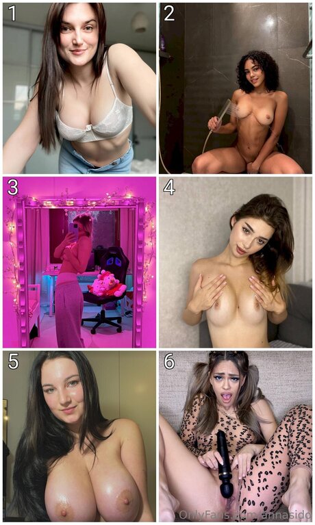 Annasido mejor modelo recopilación