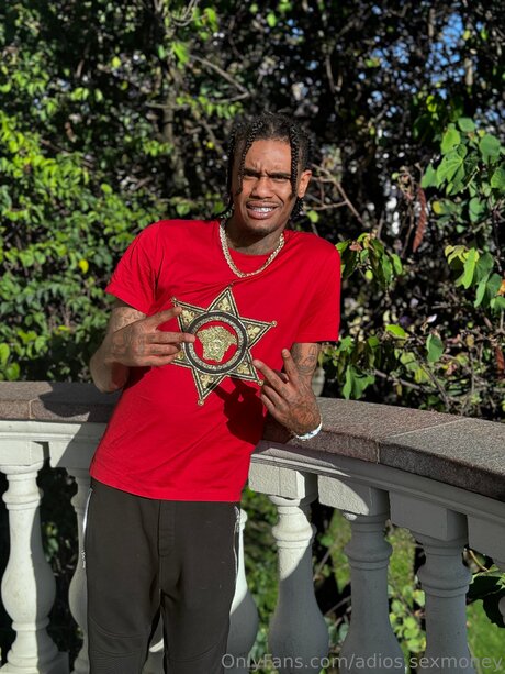 Adios Sexmoney modelo de arte galería