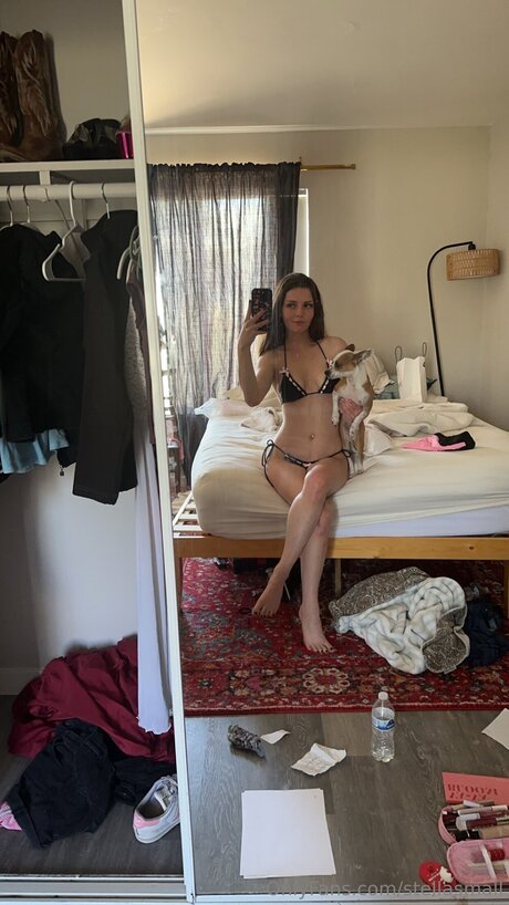 Ho11ywoodgirl desnudos de estrellas galería