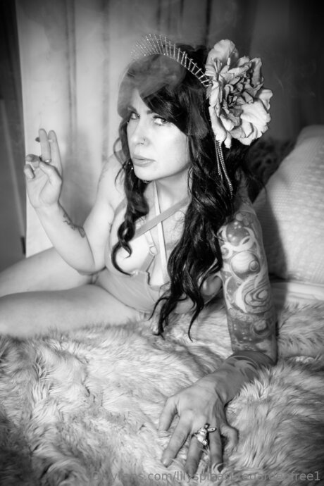 Lilyspleasuregardenfree1 Profilfoto