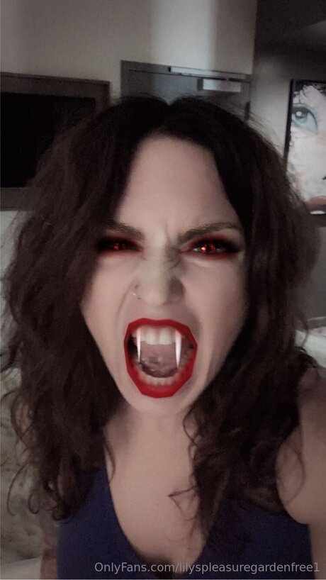 Lilyspleasuregardenfree1 estrella atractiva imagen