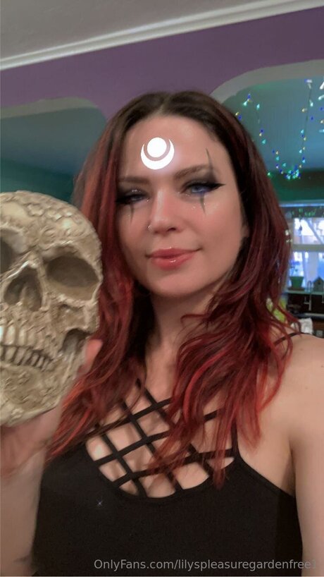 Lilyspleasuregardenfree1 estrella hd galería