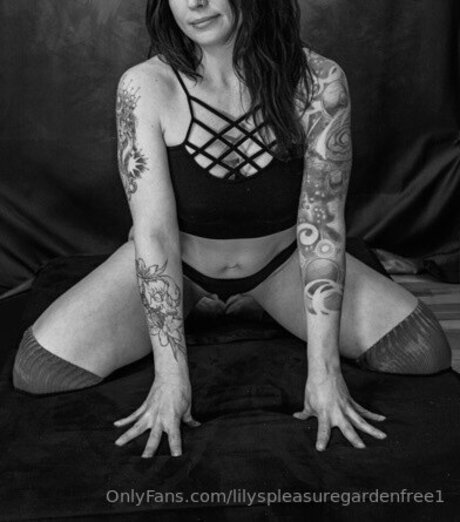 Lilyspleasuregardenfree1 Fotoaufnahmen