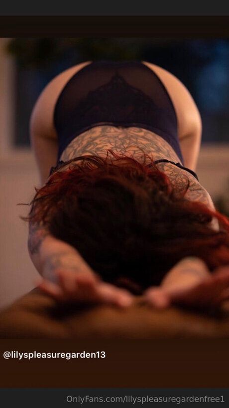 Lilyspleasuregardenfree1 estrella porno recopilación
