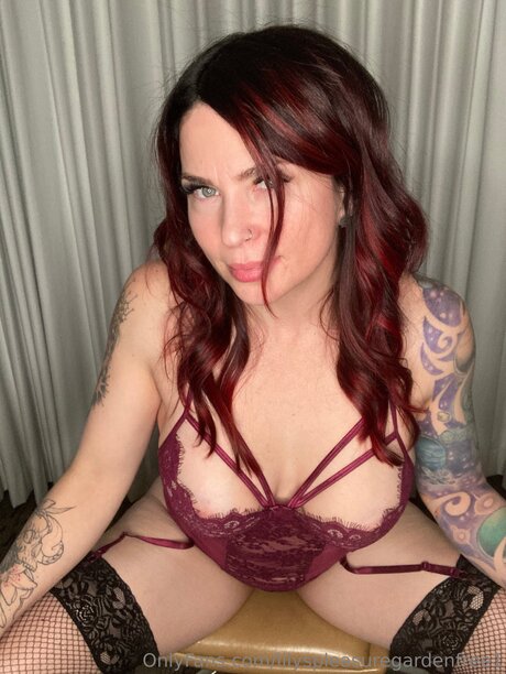 Lilyspleasuregardenfree1 libre de estrellas foto