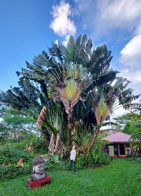 Mnmassager estrella porno sexy imágenes