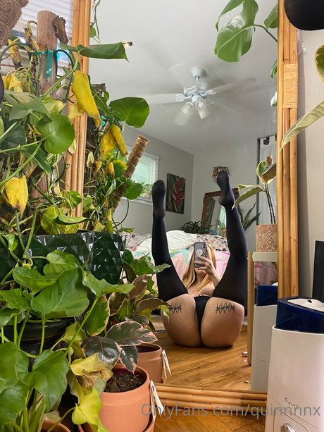 Quinnnnx modelo erótico imagen