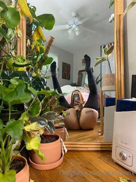 Quinnnnx mejor estrella porno foto